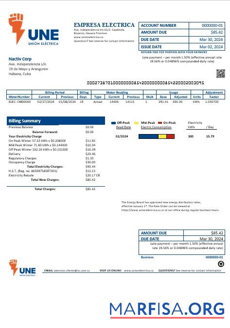 Realistic Cuba Empresa Electrica business utility bill template in Word and pdf formats
